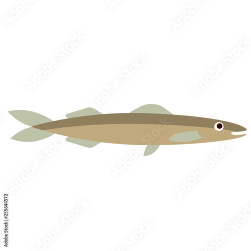 fish flat color art illustration