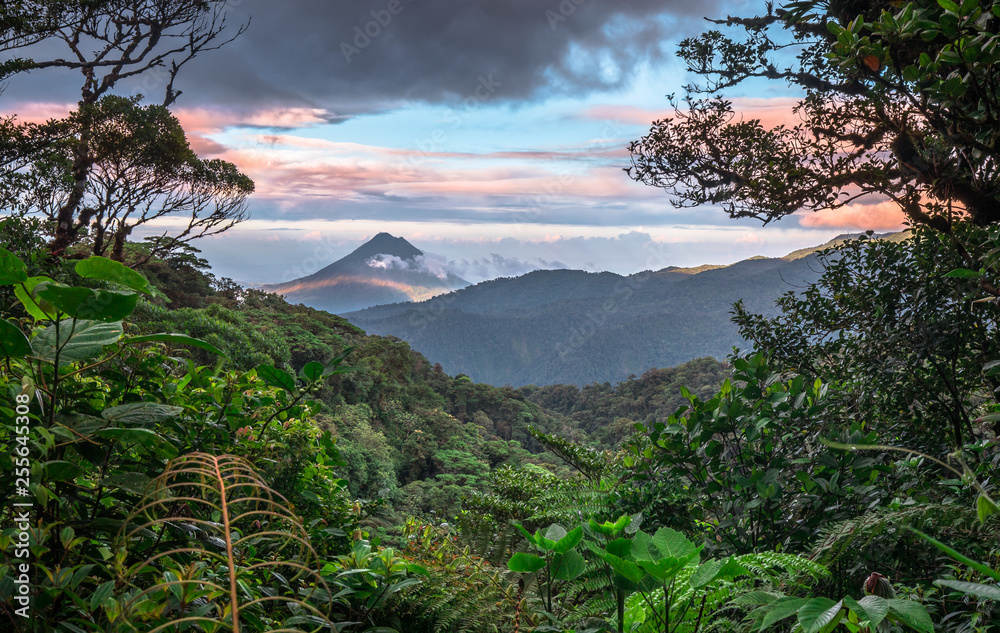 Fototapeta Las tropikalny o zachodzie słońca z górami w tle
