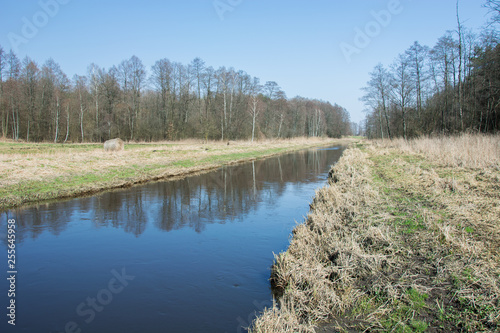 River with dry grasses flowing through the forest and blue sky