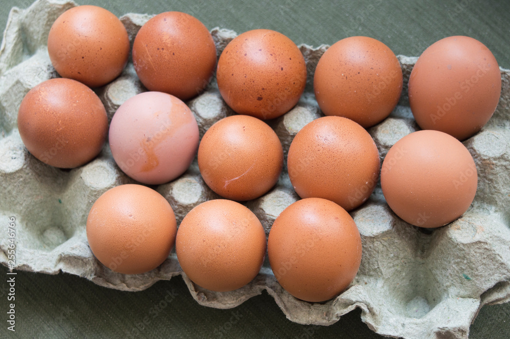 Huevos frescos de gallina. Stock Photo