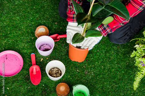 fern, pot, and shovels with man preparing for gardening on green lawn