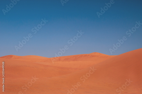 Dünen in der Sahara