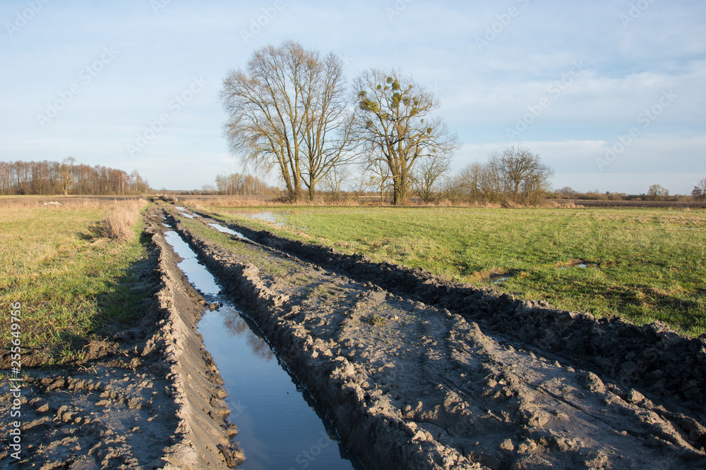 Fototapeta premium Muddy road through fields after rain