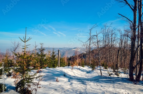 Fototapeta Naklejka Na Ścianę i Meble -  Beautiful winter mountain landscape. Sunny day on the trail in the Polish mountains.