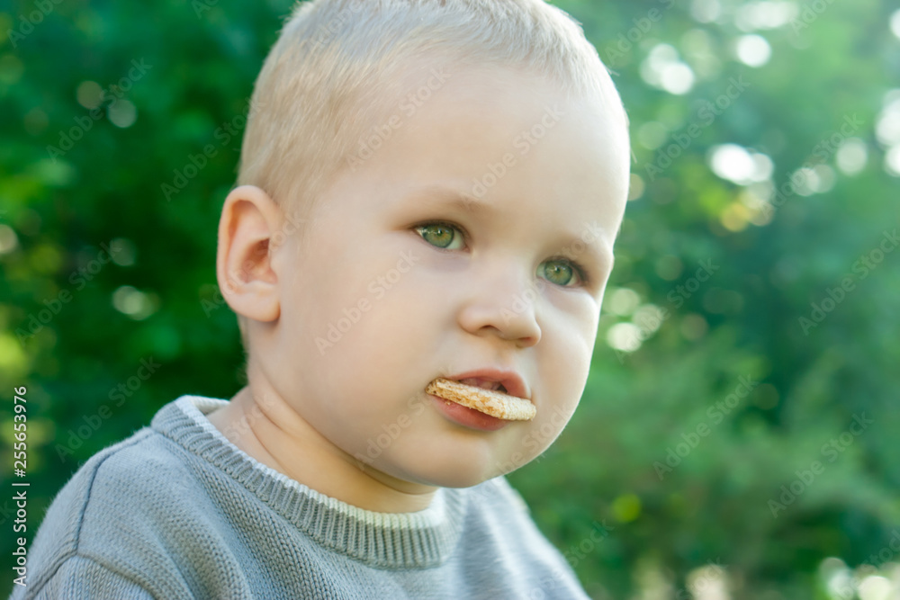 Toddler's little toddler boy got hungry after playing outdoors. The child eats a dry piece of bread and dabbles with food. The kid holds the chips with his teeth. Toddler's little toddler boy got hungry after playing outdoors. The child eats a dry piece of bread and dabbles with food. The kid holds the chips with his teeth.