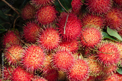 Rambutan at the Market