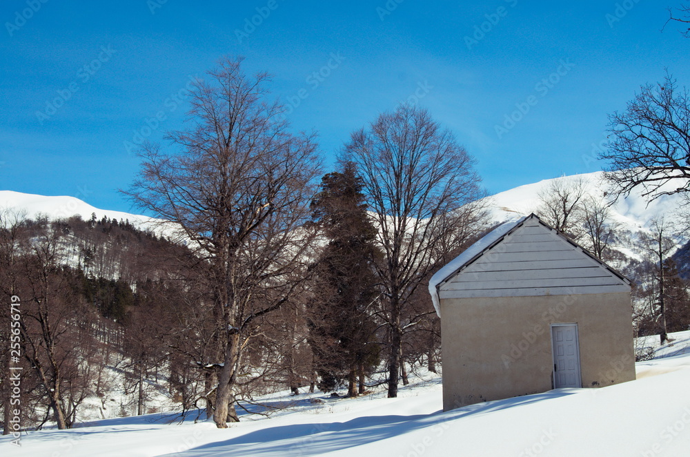House in the snowy mountains