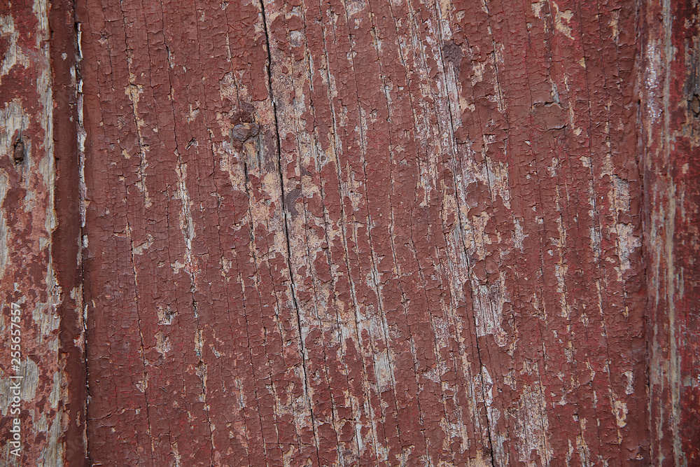 The texture of the wall The texture of the wall