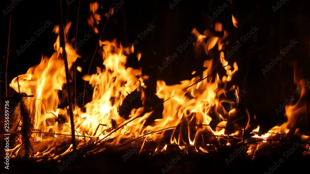 A terrible dangerous wild fire at night in a field. Burning dry straw grass. A large area of nature is in flames. A terrible dangerous wild fire at night in a field. Burning dry straw grass. A large area of nature is in flames.