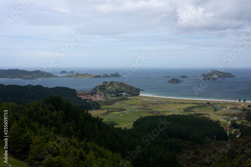 A view at the sea, a beach and green trees in Coromandel in New Zealand