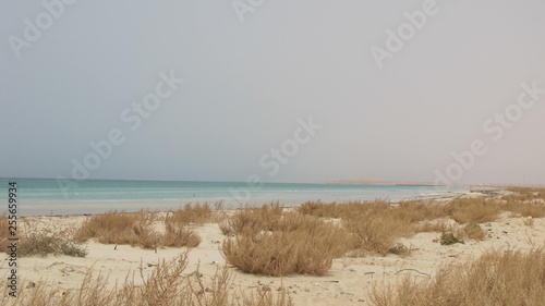 Arabian Gulf Shore beach