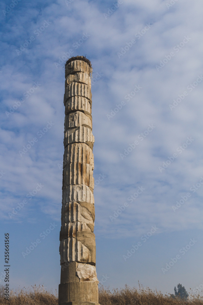 Ruins of Temple of Artemis, one of the Seven Wonders of the Ancient World, near Selçuk, Turkey