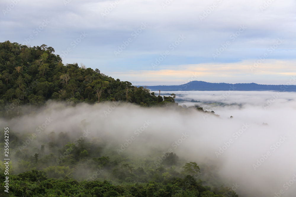 Viewpoint,beautiful tropical forest,mountain,mist at sunrise time in Khao kho,Phetchabun,Thailand Viewpoint,beautiful tropical forest,mountain,mist at sunrise time in Khao kho,Phetchabun,Thailand