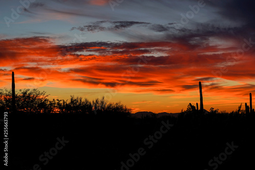 Colorful desert sunset