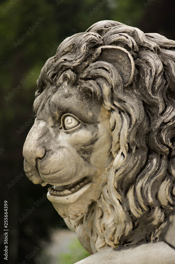 lion statue