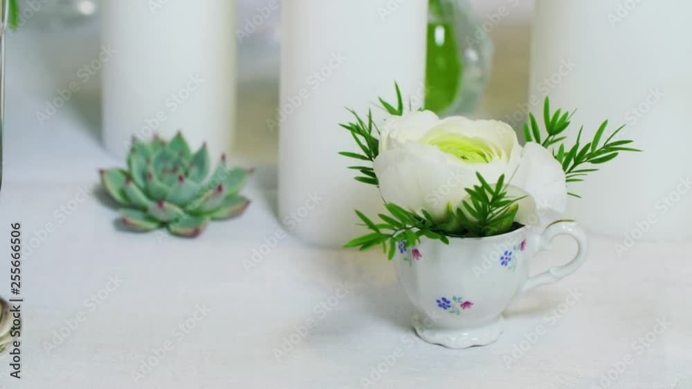 Decorating the table with beautiful cup flower. Decorating the table with beautiful cup flower.