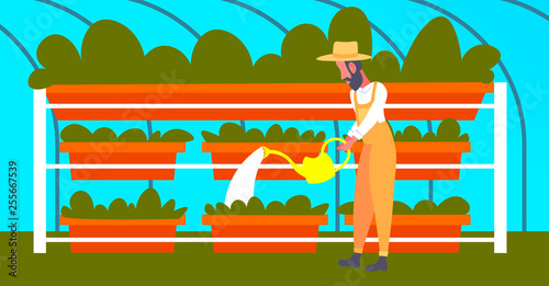 bearded gardener watering young plants in greenhouse vertical farm interior organic farming concept male cartoon character full length flat horizontal