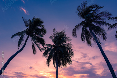 Fototapeta Naklejka Na Ścianę i Meble -  Silhouette of coconut trees by the beach against dramatic sunset sky background.