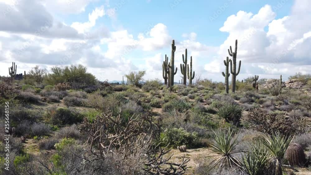 Hiking at Brown's Ranch in Scottsdale Arizona Hiking at Brown's Ranch in Scottsdale Arizona