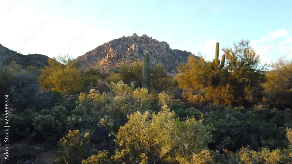 Mountain view in North Scottsdale Mountain view in North Scottsdale
