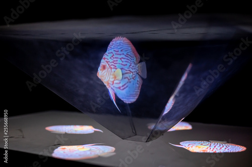 Fish hologram. Digital and technological background of the fish.