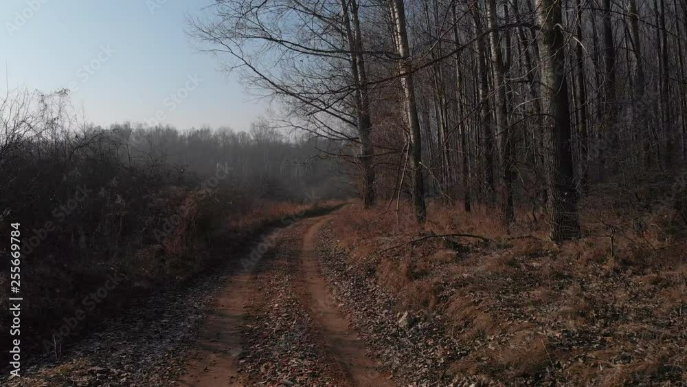 Point of View Driving Down Dirt Track into Isolated Forest. Point of View Driving Down Dirt Track into Isolated Forest.