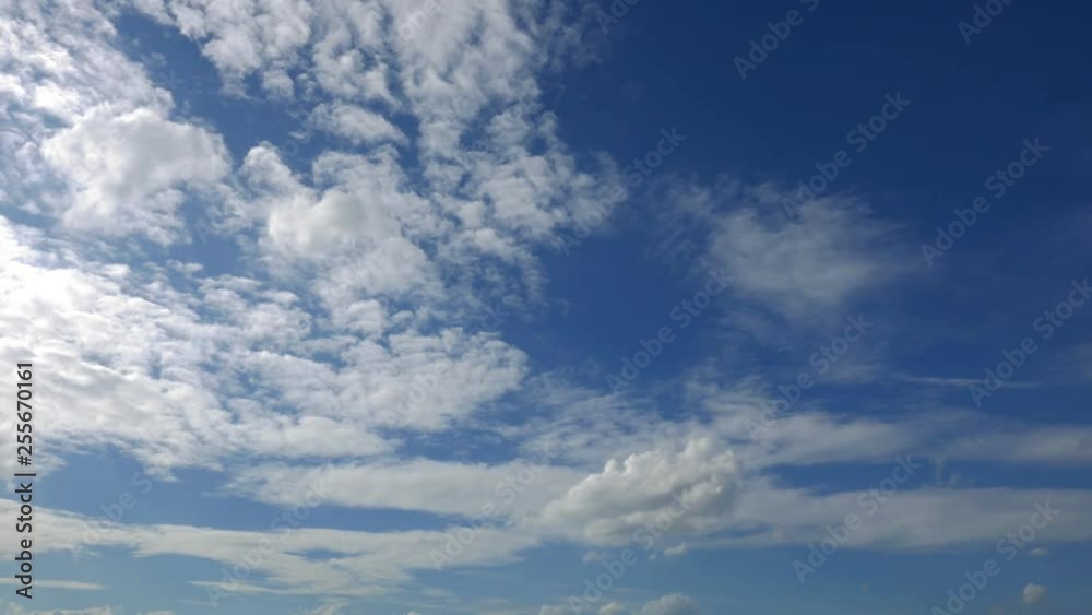 Worms eye view timelapse of forming clouds on a clear blue sky Worms eye view timelapse of forming clouds on a clear blue sky