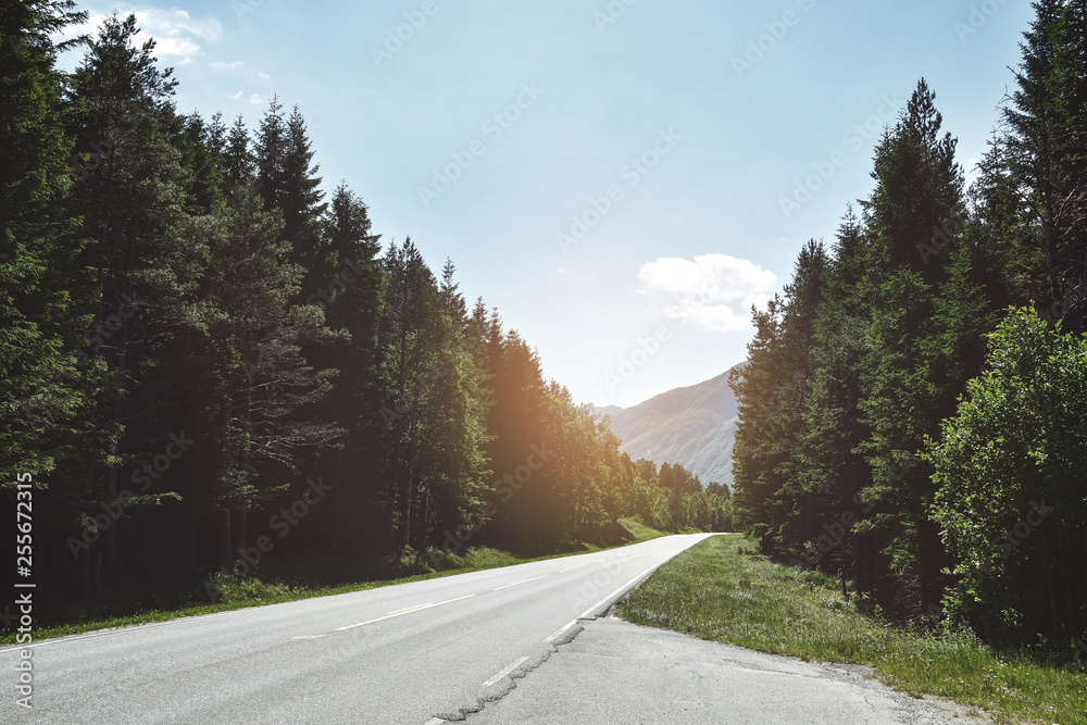 Naklejka premium asphalt road with tree