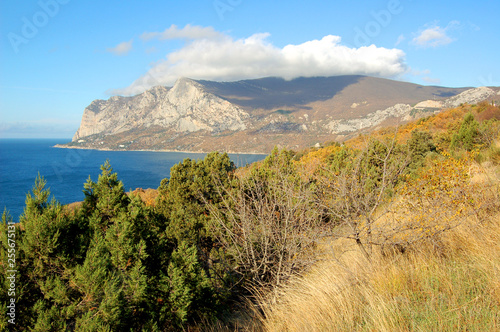 Wallpaper Mural View of Laspi Bay and Cape Ai-ya. Torontodigital.ca