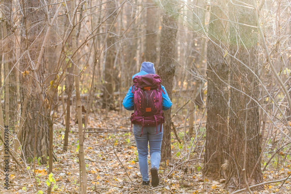 People and nature concept -Traveller woman walking in the forest, back view People and nature concept -Traveller woman walking in the forest, back view