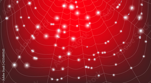 Vector drawing of a spider web. Spider web. Cobweb with water drops.