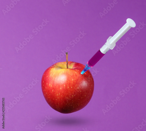 Genetically modified Red Apple with syringes on purple background. Medical Syringe injecting GMO in apple, fruit concept minimal