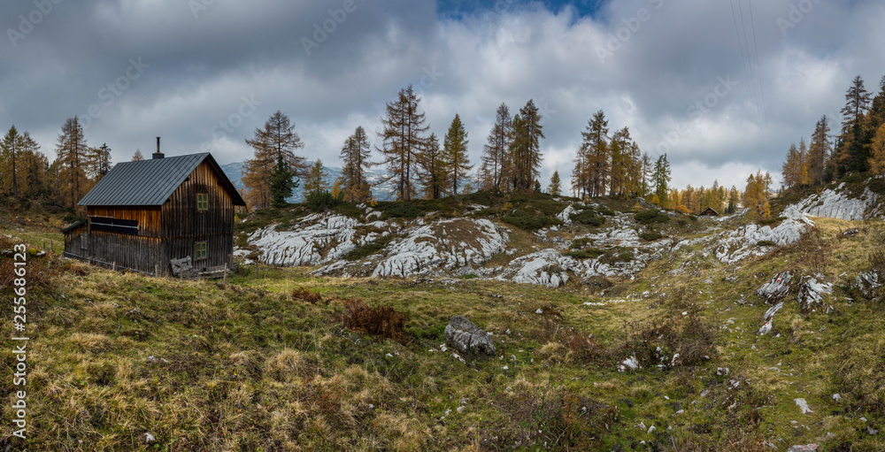 Mountain wooden hut in the Styrian Alps. Autumn alps with yellow needles on larches.