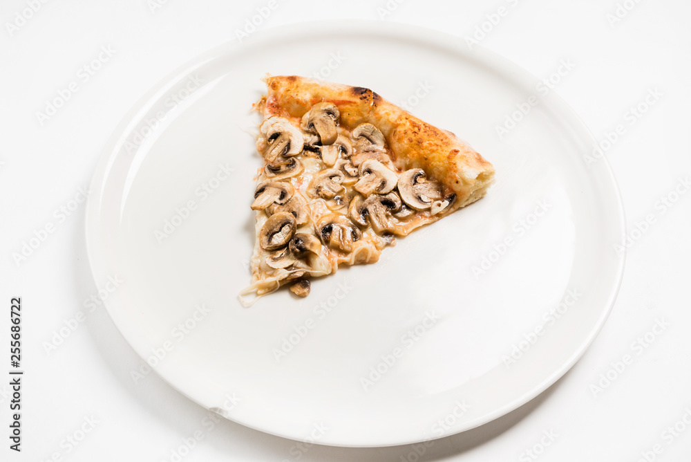 slice of pizza on the white plate slice of pizza on the white plate