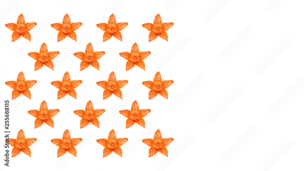 Close up physalis flower pattern background photo Close up physalis flower pattern background photo