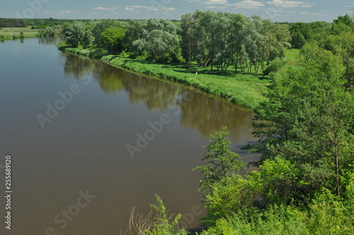 Bug River. Poland wschodnia.Dolina river with trees growing on the shore.