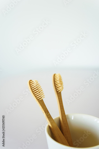 Two wooden toothbrushes