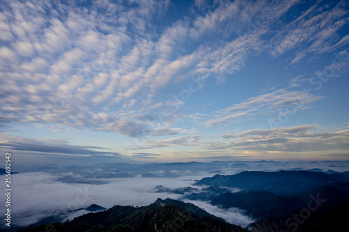 The sea of fog with forests and mountains valley ,beautiful in nature landscape ,Doi Thule ,Tak province ,Thailand