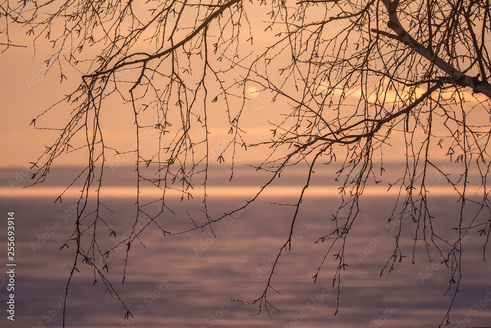 Fototapeta premium Beautiful winter sunset on the river