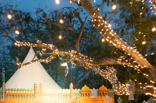 Trees covered with string lights and whilte cages for event decoration photo