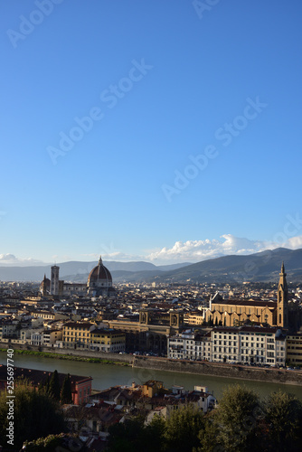 Cityscape of Firenze © Tonic Ray Sonic