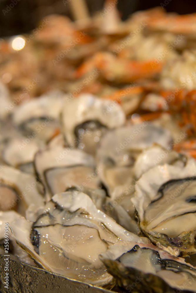 fresh oyster on ice fresh oyster on ice