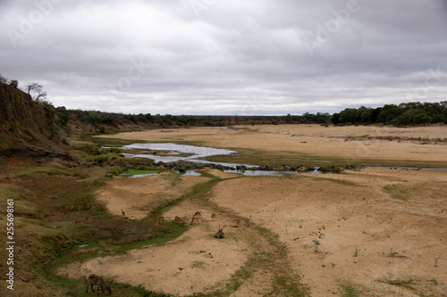 african riverbed