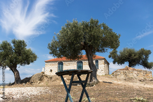 Griechisches Bauernhaus hinter einem Olivenbaum