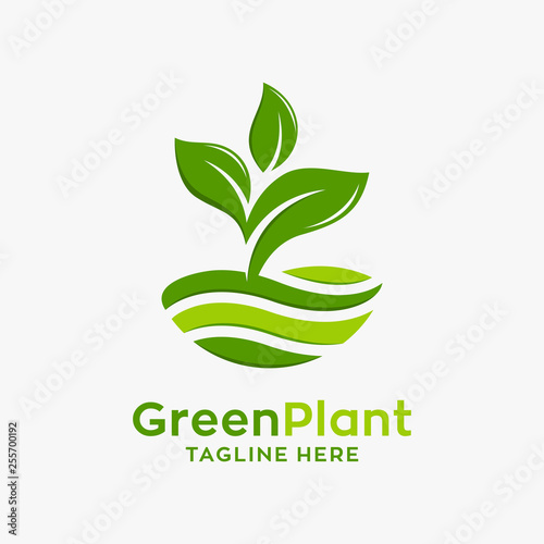Green plant logo design