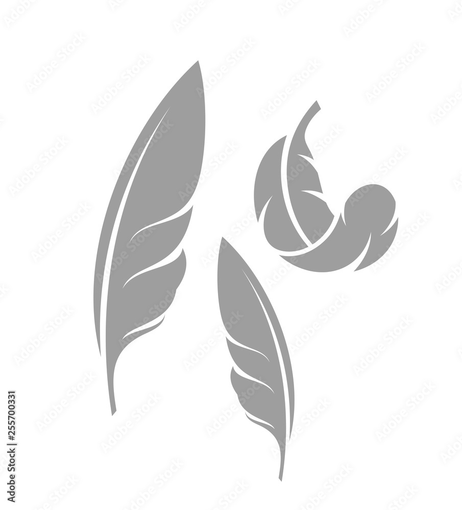 Feather. Icon set. Isolated feathers on white background Feather. Icon set. Isolated feathers on white background