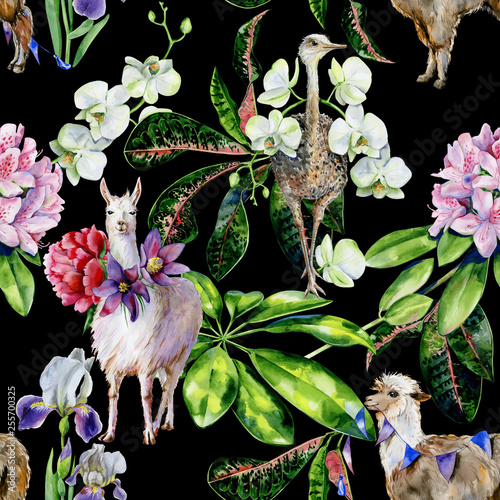 Watercolor seamless pattern of  cartoon alpaca, cute llama and ostrich with orchids, peonies, rhododendron, iris flowers and ribbons. Tropical leaves of schefflera, croton. Use as nursery wallpaper.
