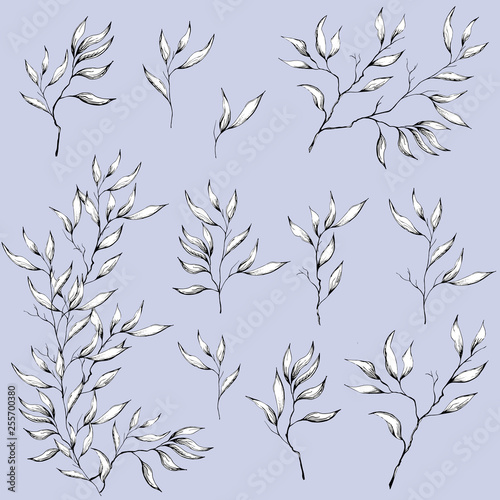 Fototapeta Naklejka Na Ścianę i Meble -  Set of contour vector flowers drawn by ink. Contour Clipart for use in design.