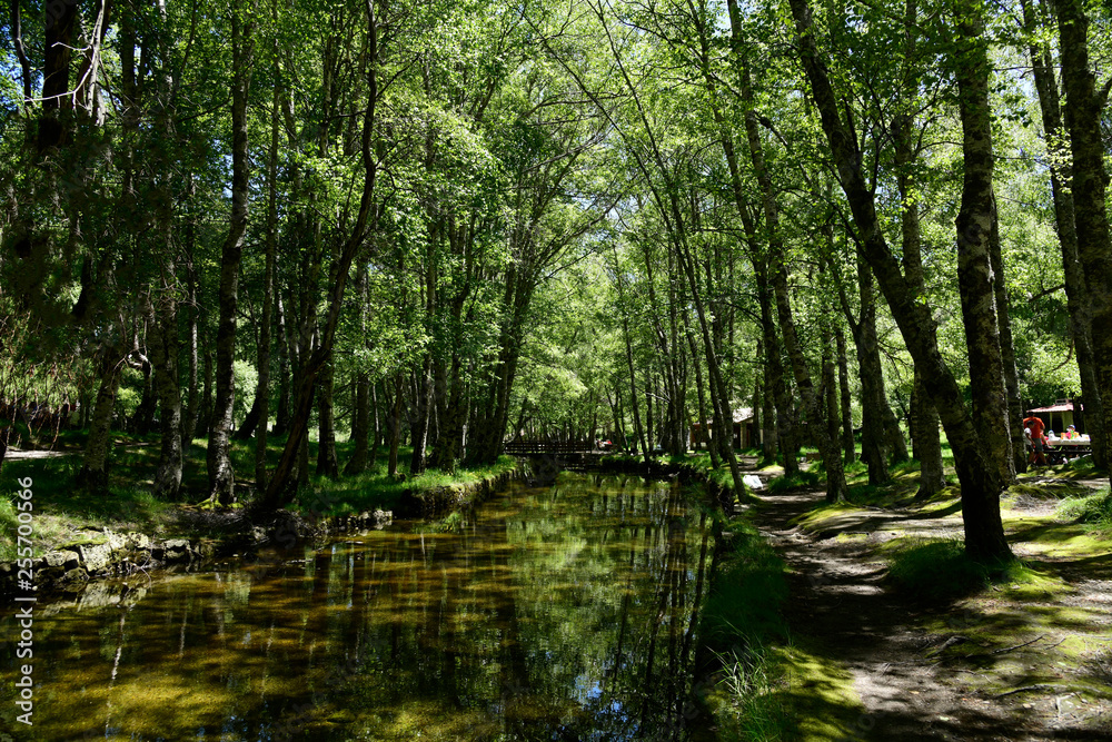 natureza natureza