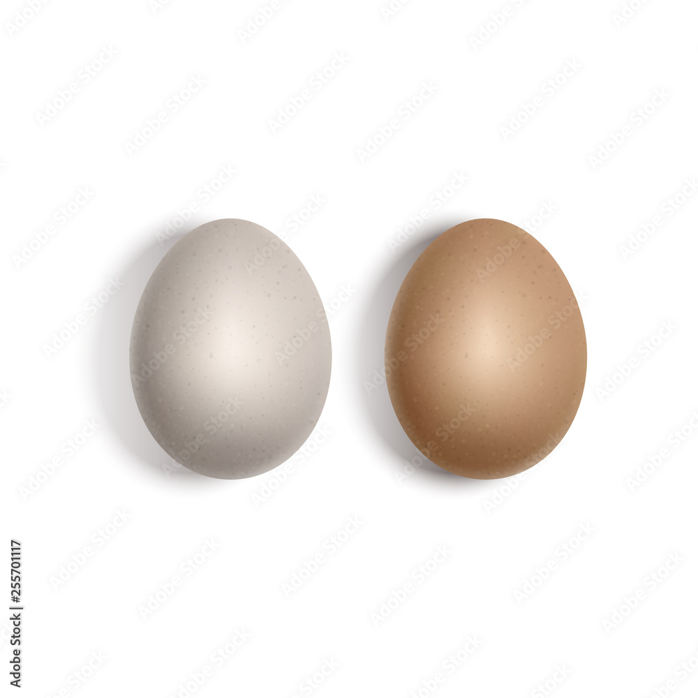 Two vector realistic white and brown eggs. Chicken eggs isolated on white background Two vector realistic white and brown eggs. Chicken eggs isolated on white background